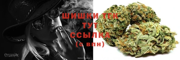 спиды Гусев