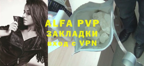 спиды Гусев