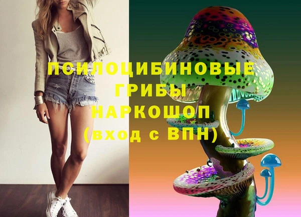 синтетический гашиш Гусиноозёрск