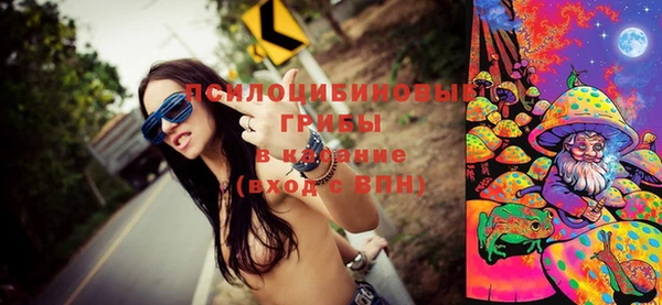 спиды Гусев