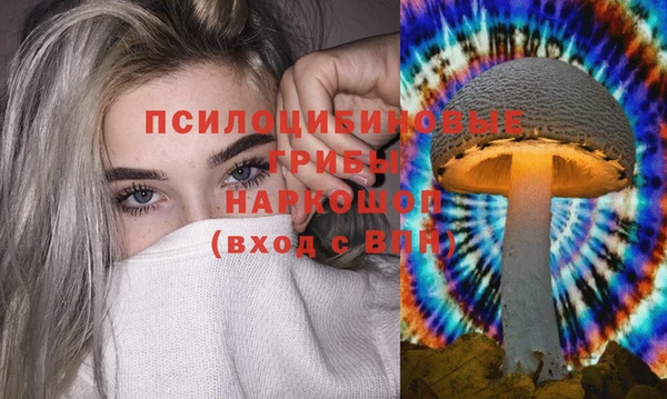 синтетический гашиш Гусиноозёрск