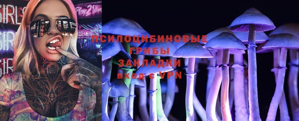спиды Гусев