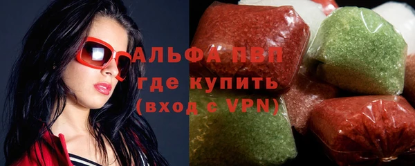 спиды Гусев