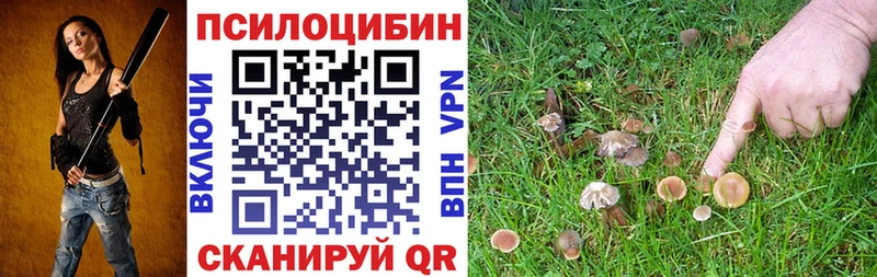 Купить  Приволжск  Псилоцибиновые грибы Cubensis 